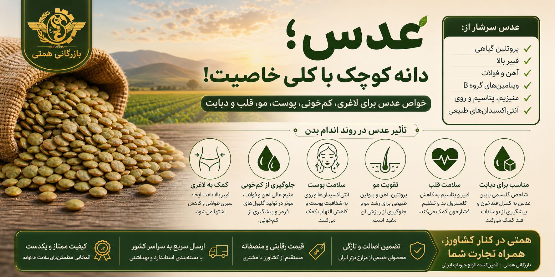 خواص عدس